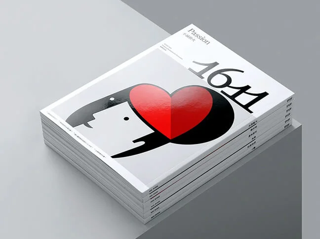 Building Visual Identities